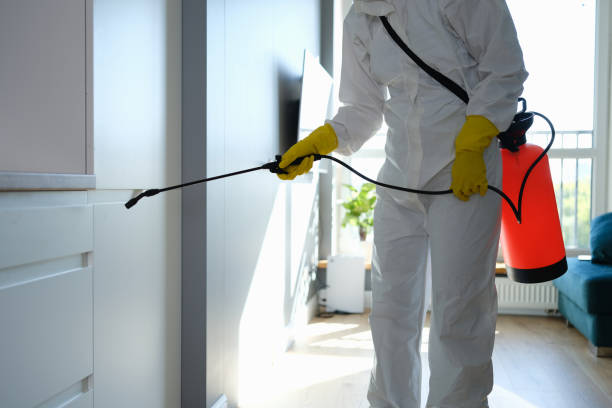 Best Mold Testing  in Sheridan, IL