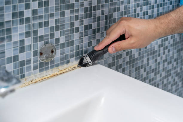 Best Local Mold Removal Service  in Sheridan, IL